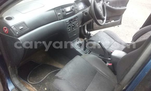 Buy Used Toyota Runx Blue Car in Limbe in Malawi Buy Used Toyota Runx Blue Car in Limbe in Malawi