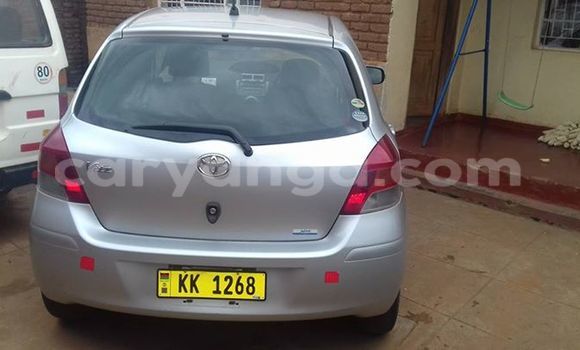 Buy Used Toyota Vitz Silver Car in Blantyre in Malawi Buy Used Toyota Vitz Silver Car in Blantyre in Malawi
