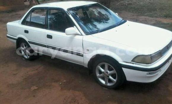 Nunua Ilio tumika Toyota Corolla White Gari ndani ya Limbe nchini Malawi Nunua Ilio tumika Toyota Corolla White Gari ndani ya Limbe nchini Malawi