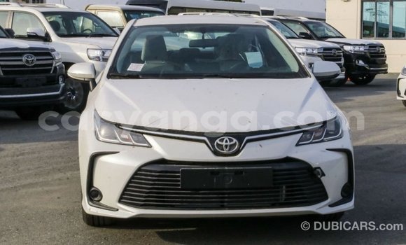 Buy Import Toyota Corolla White Car in Import - Dubai in Malawi Buy Import Toyota Corolla White Car in Import - Dubai in Malawi