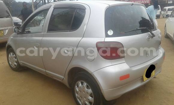 Acheter Occasion Voiture Toyota Vitz Gris à Limbe, Malawi Acheter Occasion Voiture Toyota Vitz Gris à Limbe, Malawi