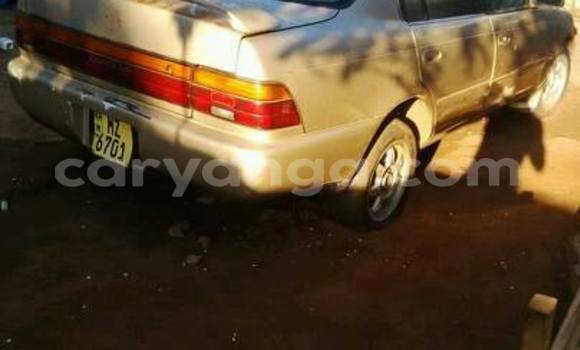 Nunua Ilio tumika Toyota Corolla Other Gari ndani ya Limbe nchini Malawi Nunua Ilio tumika Toyota Corolla Other Gari ndani ya Limbe nchini Malawi