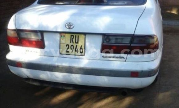 Acheter Occasion Voiture Toyota Corona Blanc à Limbe, Malawi