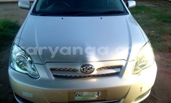 Buy Used Toyota Allex Silver Car in Limbe in Malawi