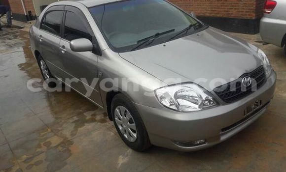 Buy Used Toyota Corolla Silver Car in Limbe in Malawi Buy Used Toyota Corolla Silver Car in Limbe in Malawi