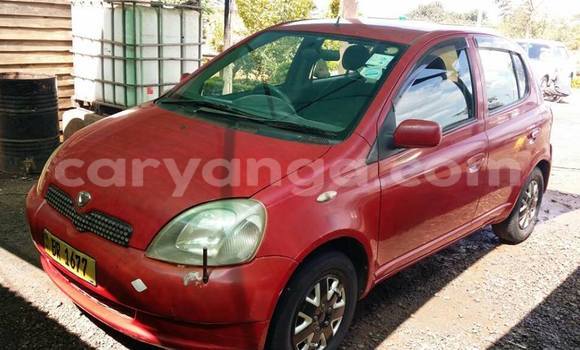 Buy Used Toyota Vitz Red Car in Limbe in Malawi Buy Used Toyota Vitz Red Car in Limbe in Malawi