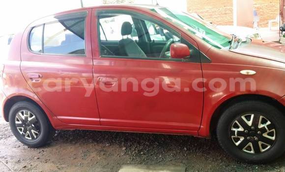 Buy Used Toyota Vitz Red Car in Limbe in Malawi Buy Used Toyota Vitz Red Car in Limbe in Malawi