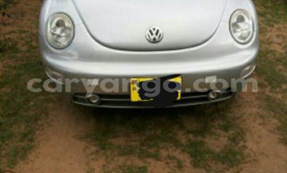 Buy Used Volkswagen Beetle Silver Car in Limbe in Malawi Buy Used Volkswagen Beetle Silver Car in Limbe in Malawi