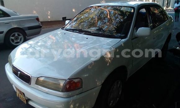 Buy Used Toyota Sprinter White Car in Limbe in Malawi Buy Used Toyota Sprinter White Car in Limbe in Malawi