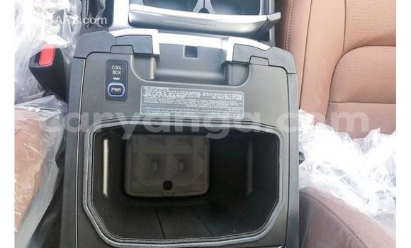 Buy Import Toyota Land Cruiser Black Car in Import - Dubai in Malawi Buy Import Toyota Land Cruiser Black Car in Import - Dubai in Malawi