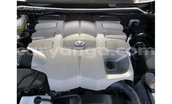 Buy Import Toyota Land Cruiser Black Car in Import - Dubai in Malawi Buy Import Toyota Land Cruiser Black Car in Import - Dubai in Malawi
