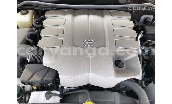 Nunua Imported Toyota Land Cruiser White Gari ndani ya Import - Dubai nchini Malawi Nunua Imported Toyota Land Cruiser White Gari ndani ya Import - Dubai nchini Malawi