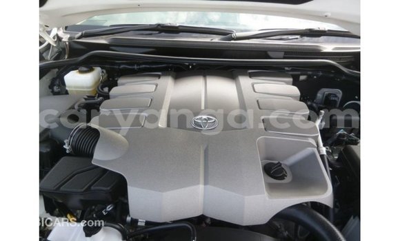 Buy Import Toyota Land Cruiser White Car in Import - Dubai in Malawi Buy Import Toyota Land Cruiser White Car in Import - Dubai in Malawi