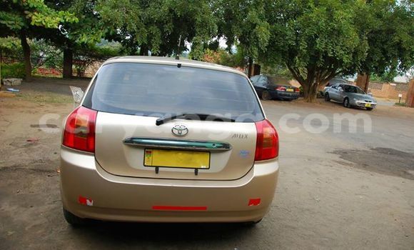 Buy Used Toyota Allex Other Car in Limete in Malawi