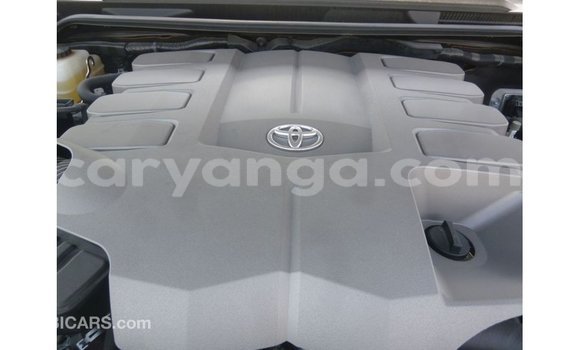 Buy Import Toyota Land Cruiser Black Car in Import - Dubai in Malawi Buy Import Toyota Land Cruiser Black Car in Import - Dubai in Malawi
