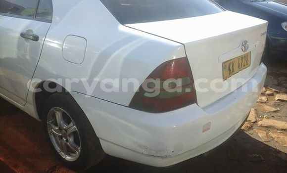 Buy Used Toyota Corolla White Car in Limete in Malawi Buy Used Toyota Corolla White Car in Limete in Malawi
