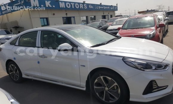 Buy Import Hyundai Sonata White Car in Import - Dubai in Malawi Buy Import Hyundai Sonata White Car in Import - Dubai in Malawi