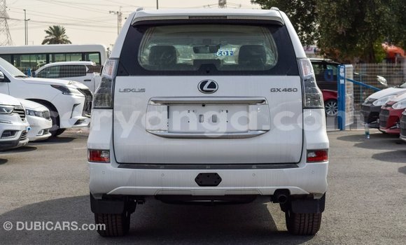 Buy Import Lexus GX White Car in Import - Dubai in Malawi Buy Import Lexus GX White Car in Import - Dubai in Malawi