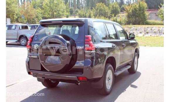 Buy Import Toyota Hilux Black Car in Import - Dubai in Malawi Buy Import Toyota Hilux Black Car in Import - Dubai in Malawi