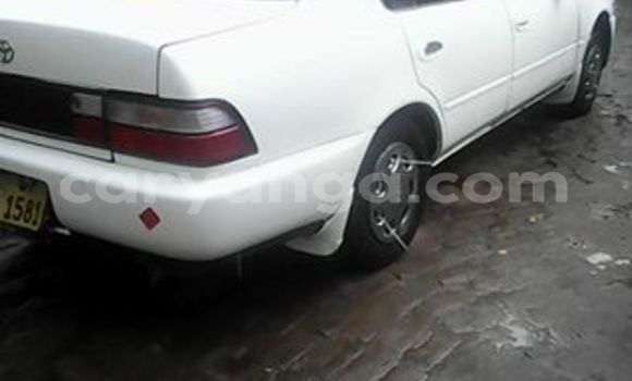 Acheter Occasion Voiture Toyota Corolla Blanc à Limete, Malawi Acheter Occasion Voiture Toyota Corolla Blanc à Limete, Malawi