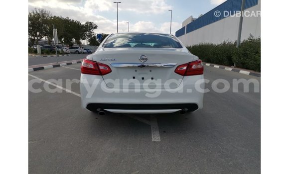 Buy Import Nissan Altima White Car in Import - Dubai in Malawi Buy Import Nissan Altima White Car in Import - Dubai in Malawi