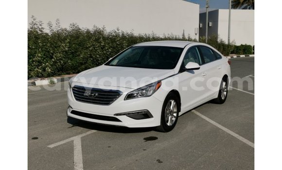 Buy Import Hyundai Sonata White Car in Import - Dubai in Malawi Buy Import Hyundai Sonata White Car in Import - Dubai in Malawi