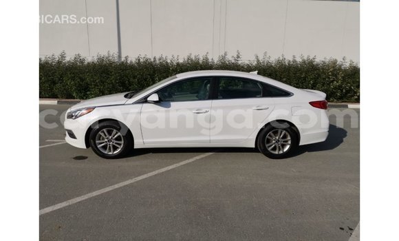 Buy Import Hyundai Sonata White Car in Import - Dubai in Malawi Buy Import Hyundai Sonata White Car in Import - Dubai in Malawi