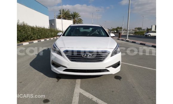 Buy Import Hyundai Sonata White Car in Import - Dubai in Malawi Buy Import Hyundai Sonata White Car in Import - Dubai in Malawi