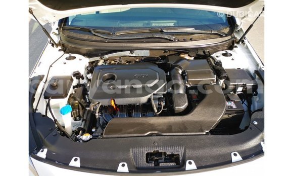 Buy Import Hyundai Sonata White Car in Import - Dubai in Malawi Buy Import Hyundai Sonata White Car in Import - Dubai in Malawi