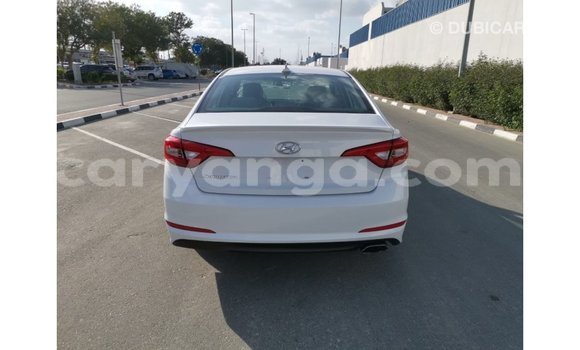 Buy Import Hyundai Sonata White Car in Import - Dubai in Malawi Buy Import Hyundai Sonata White Car in Import - Dubai in Malawi