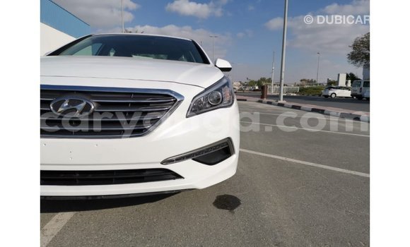 Buy Import Hyundai Sonata White Car in Import - Dubai in Malawi Buy Import Hyundai Sonata White Car in Import - Dubai in Malawi