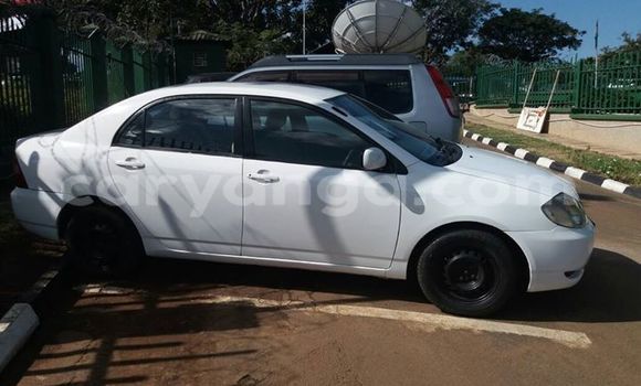 Buy Used Toyota Corolla White Car in Limete in Malawi Buy Used Toyota Corolla White Car in Limete in Malawi