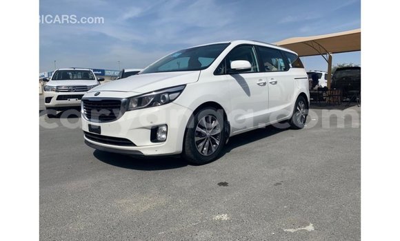 Buy Import Kia Carnival White Car in Import - Dubai in Malawi Buy Import Kia Carnival White Car in Import - Dubai in Malawi