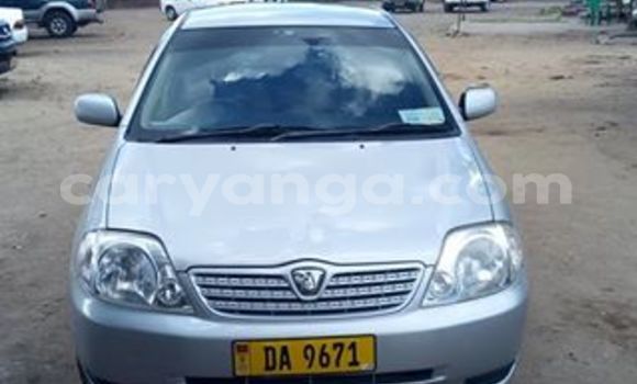 Buy Used Toyota Allex Silver Car in Limete in Malawi Buy Used Toyota Allex Silver Car in Limete in Malawi