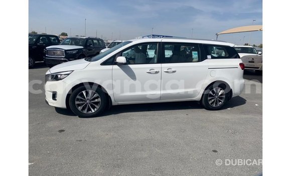 Buy Import Kia Carnival White Car in Import - Dubai in Malawi Buy Import Kia Carnival White Car in Import - Dubai in Malawi