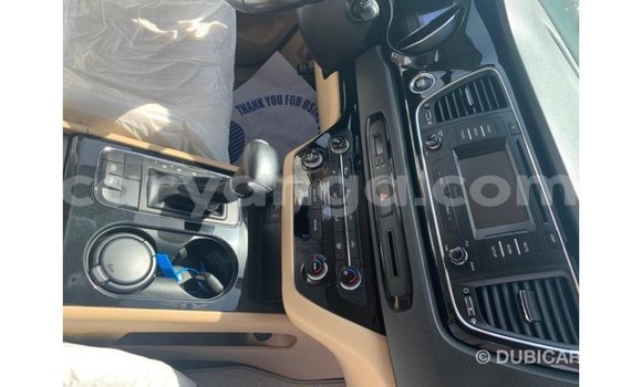 Buy Import Kia Carnival White Car in Import - Dubai in Malawi Buy Import Kia Carnival White Car in Import - Dubai in Malawi