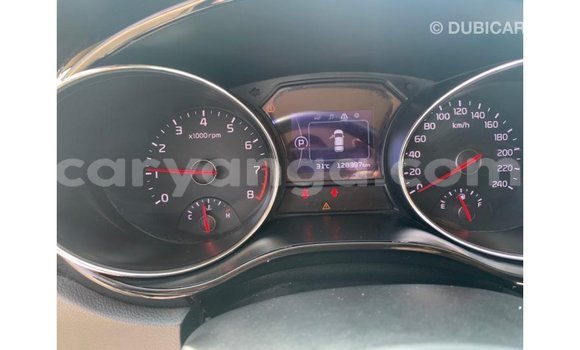 Buy Import Kia Carnival White Car in Import - Dubai in Malawi Buy Import Kia Carnival White Car in Import - Dubai in Malawi