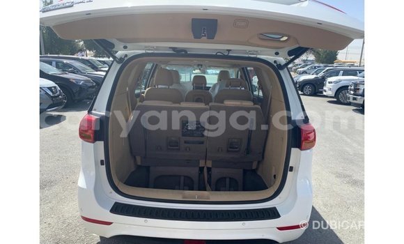 Buy Import Kia Carnival White Car in Import - Dubai in Malawi Buy Import Kia Carnival White Car in Import - Dubai in Malawi