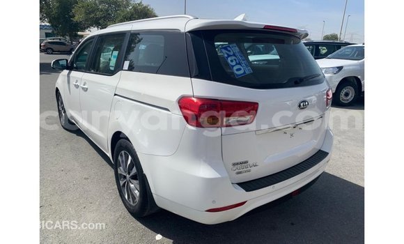 Buy Import Kia Carnival White Car in Import - Dubai in Malawi Buy Import Kia Carnival White Car in Import - Dubai in Malawi