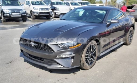 Buy Import Ford Mustang Other Car in Import - Dubai in Malawi Buy Import Ford Mustang Other Car in Import - Dubai in Malawi
