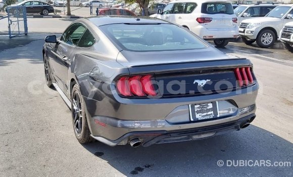 Buy Import Ford Mustang Other Car in Import - Dubai in Malawi Buy Import Ford Mustang Other Car in Import - Dubai in Malawi