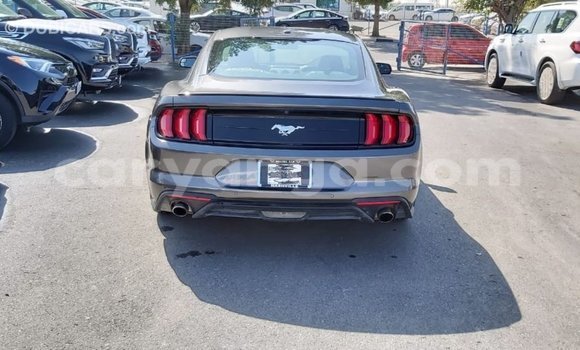 Buy Import Ford Mustang Other Car in Import - Dubai in Malawi Buy Import Ford Mustang Other Car in Import - Dubai in Malawi