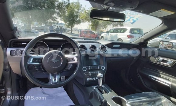 Buy Import Ford Mustang Other Car in Import - Dubai in Malawi Buy Import Ford Mustang Other Car in Import - Dubai in Malawi