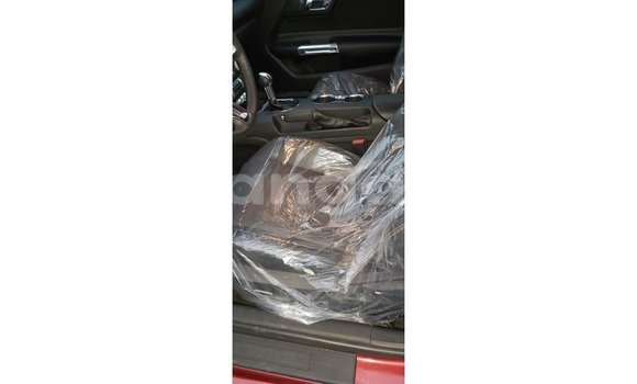 Buy Import Ford Mustang Red Car in Import - Dubai in Malawi Buy Import Ford Mustang Red Car in Import - Dubai in Malawi