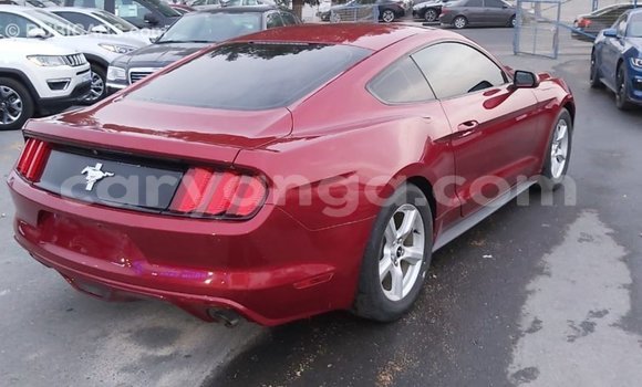 Buy Import Ford Mustang Red Car in Import - Dubai in Malawi Buy Import Ford Mustang Red Car in Import - Dubai in Malawi