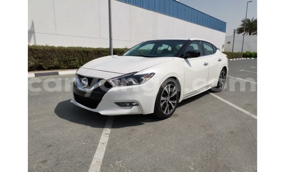 Buy Import Nissan Maxima White Car in Import - Dubai in Malawi Buy Import Nissan Maxima White Car in Import - Dubai in Malawi