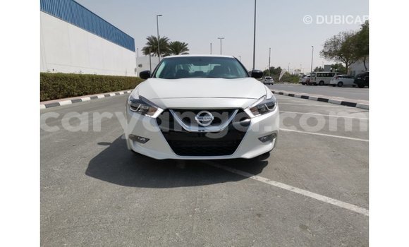 Buy Import Nissan Maxima White Car in Import - Dubai in Malawi Buy Import Nissan Maxima White Car in Import - Dubai in Malawi