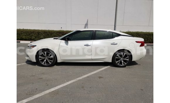 Buy Import Nissan Maxima White Car in Import - Dubai in Malawi Buy Import Nissan Maxima White Car in Import - Dubai in Malawi