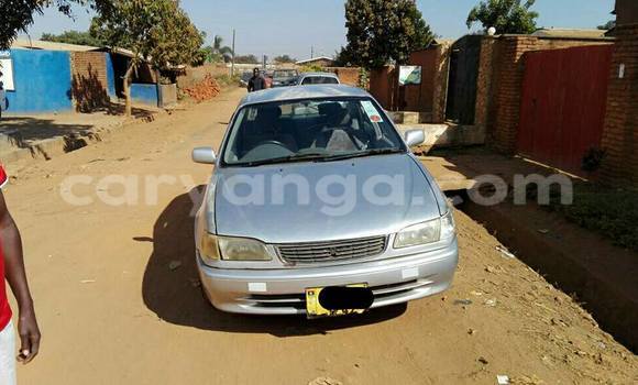 Acheter Occasion Voiture Toyota Corolla Gris à Limete, Malawi Acheter Occasion Voiture Toyota Corolla Gris à Limete, Malawi