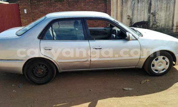 Acheter Occasion Voiture Toyota Corolla Gris à Limete, Malawi Acheter Occasion Voiture Toyota Corolla Gris à Limete, Malawi